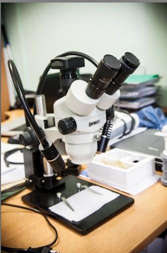 У таких особливо веселеньких випадках допомагає потужний мікроскоп, який теж стоїть на озброєнні на сусідньому столі: