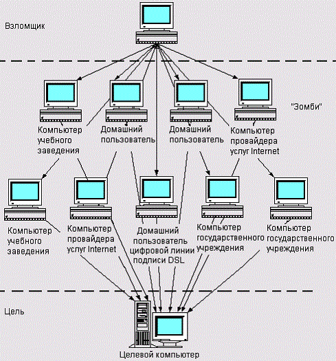 Таку інфіковану мережу комп'ютерів називають ботнетом (від англійських слів roBOT і NET)