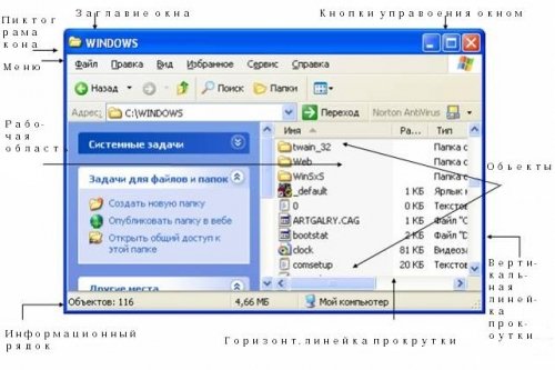 Будь-який документ або програма в Windows XP використовує в своїй роботі прямокутну область екрана, звану вікном